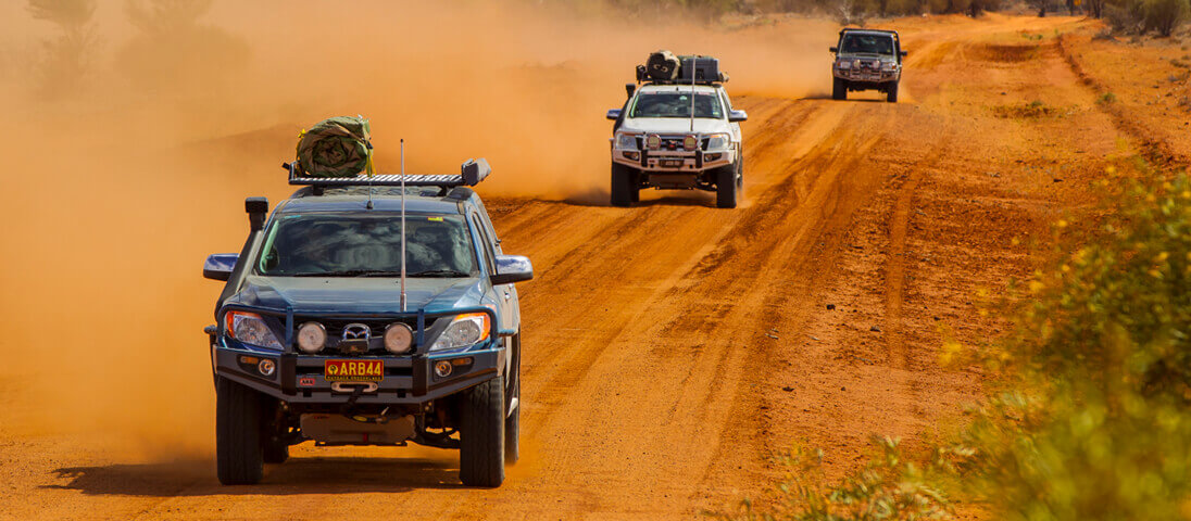 Safari Snorkel CTA